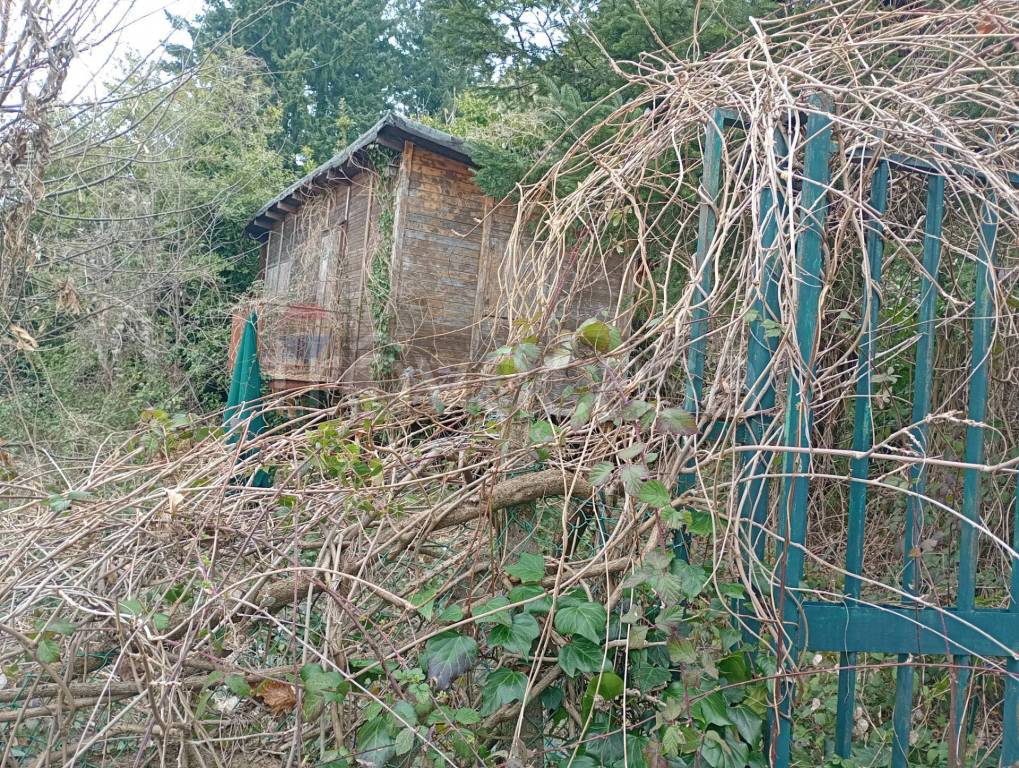 immagine annuncio 2 di 4