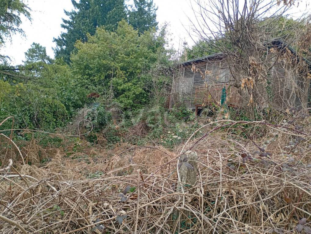 immagine annuncio 3 di 4