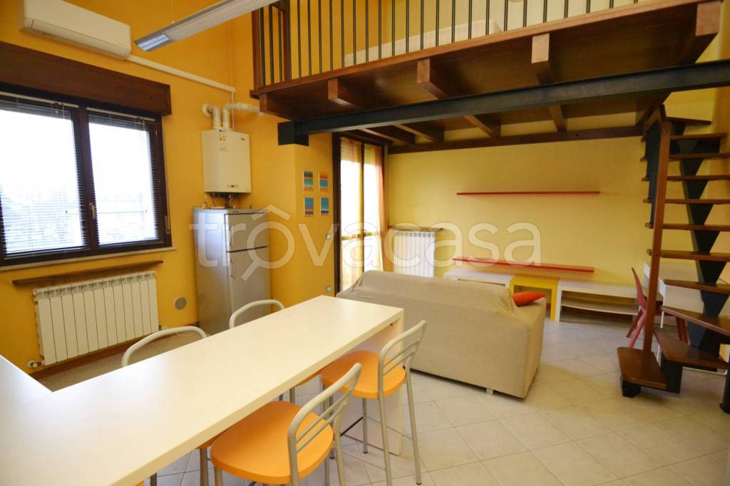 immagine annuncio 3 di 15