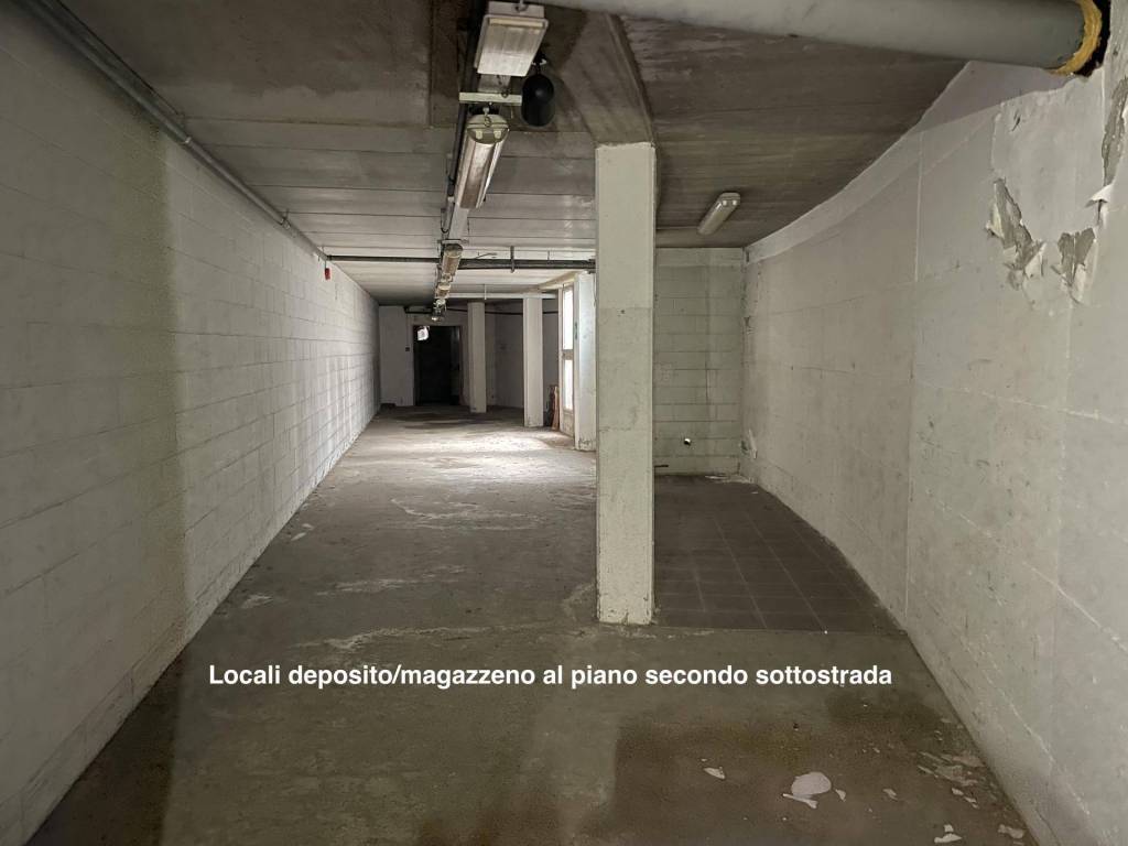 immagine annuncio 3 di 14