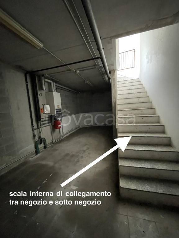 immagine annuncio 5 di 14