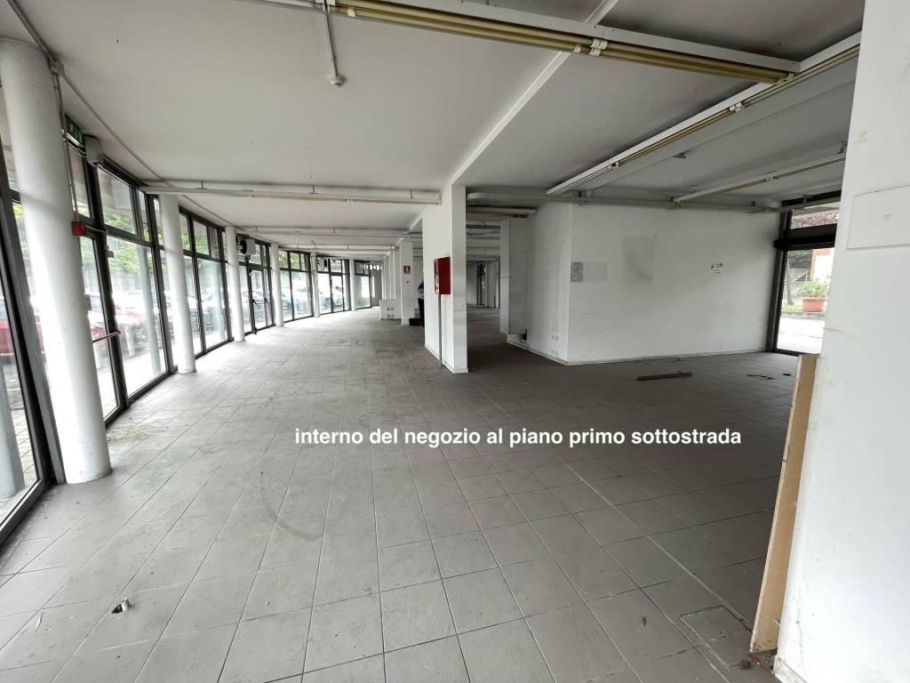 immagine annuncio 10 di 14