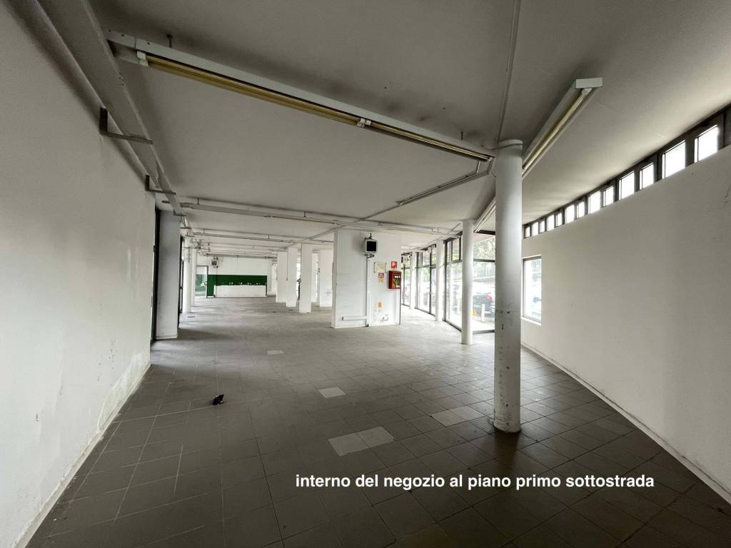 immagine annuncio 11 di 14