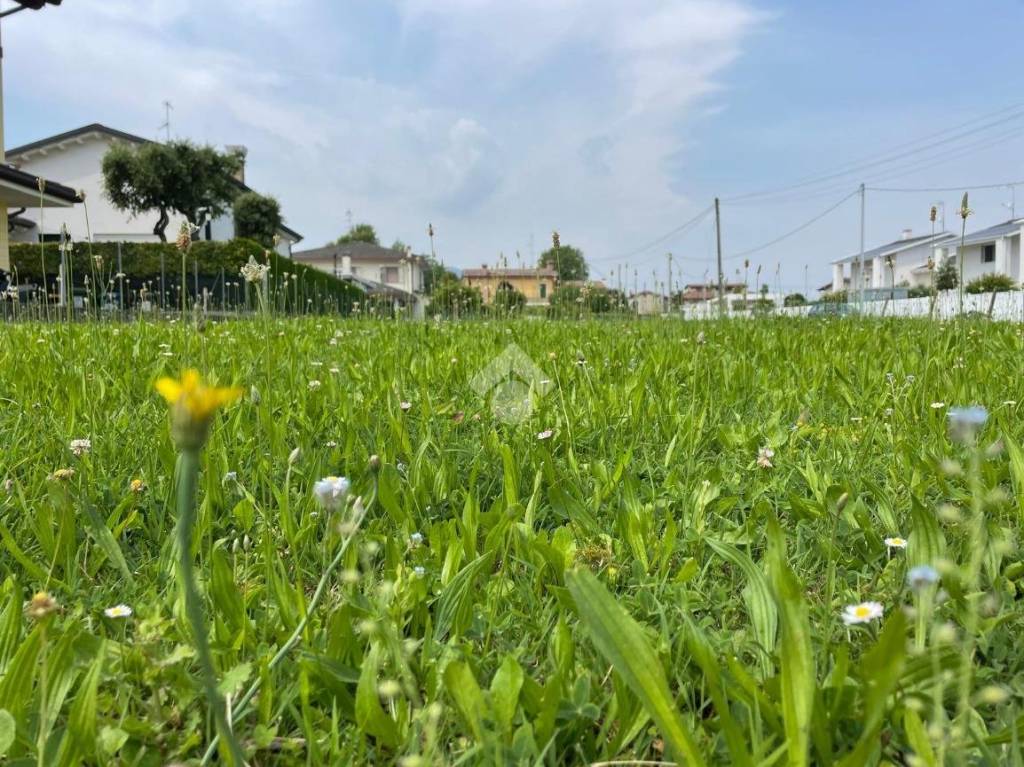 immagine annuncio 1 di 7