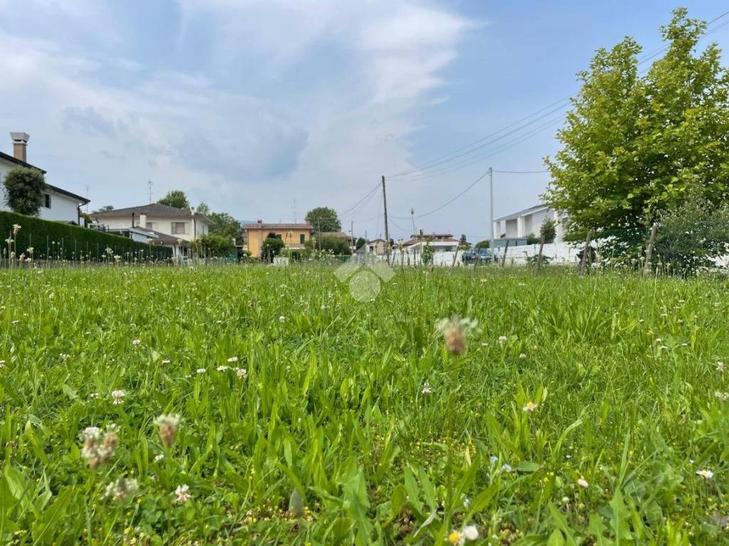 immagine annuncio 4 di 7