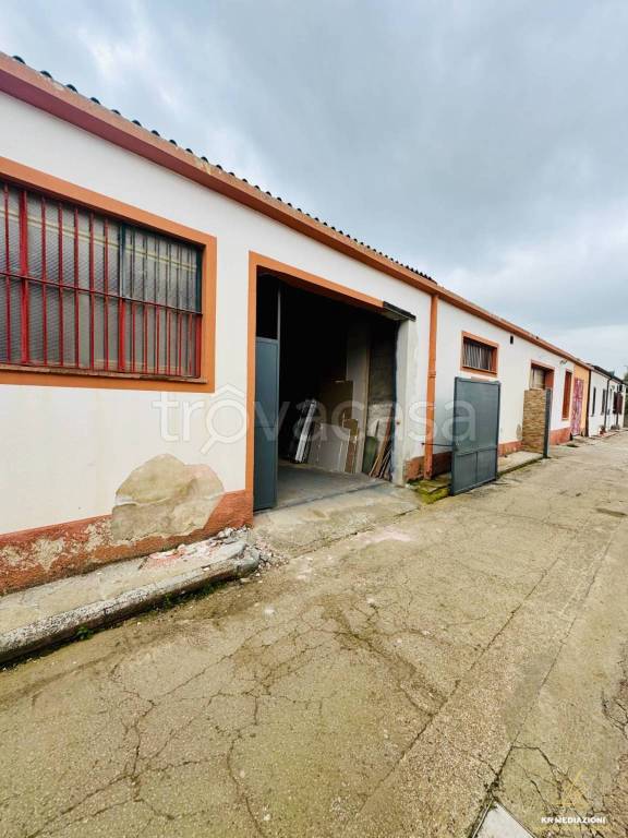 immagine annuncio 6 di 12