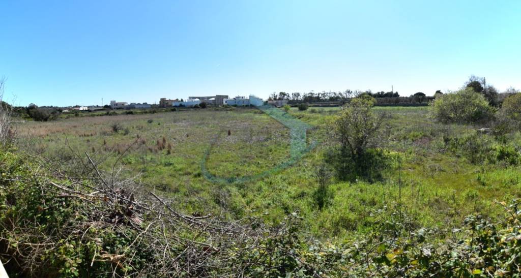 immagine annuncio 3 di 9