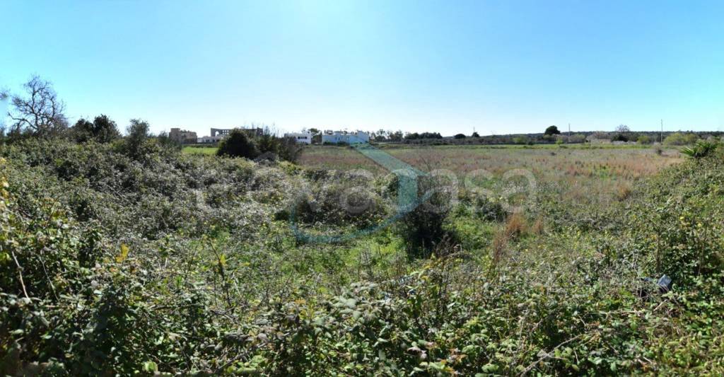 immagine annuncio 7 di 9