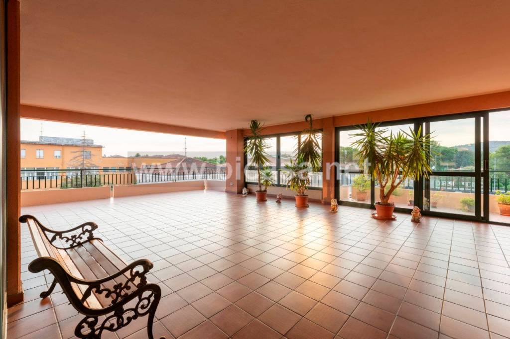 immagine annuncio 9 di 14