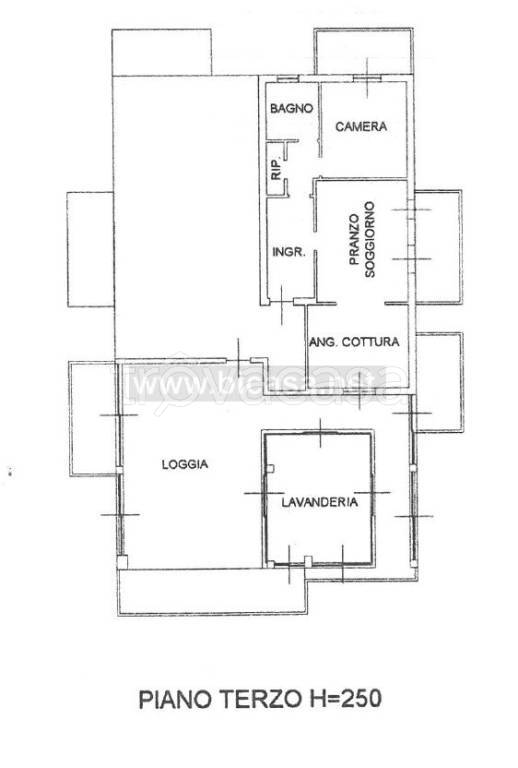 immagine annuncio 12 di 14