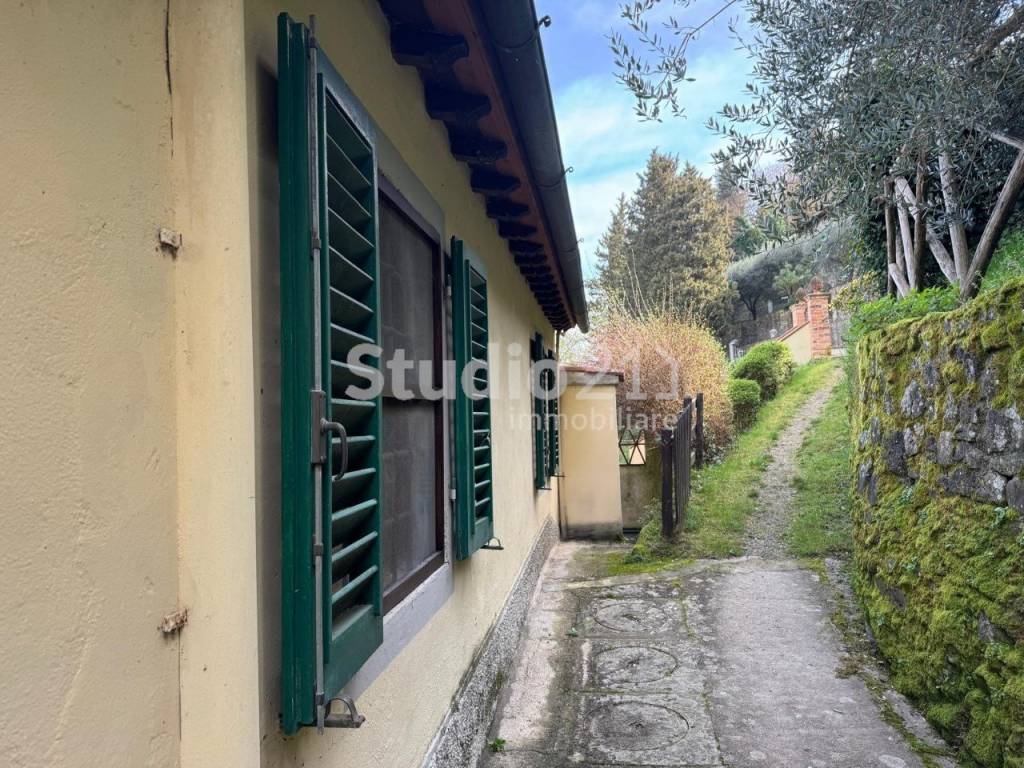 immagine annuncio 10 di 11