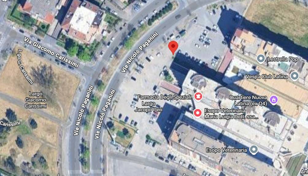 immagine annuncio 3 di 10