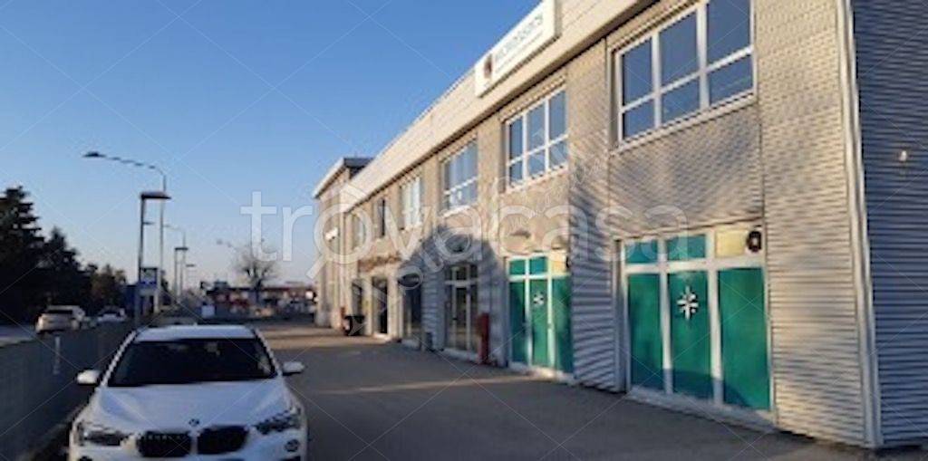 immagine annuncio 1 di 13