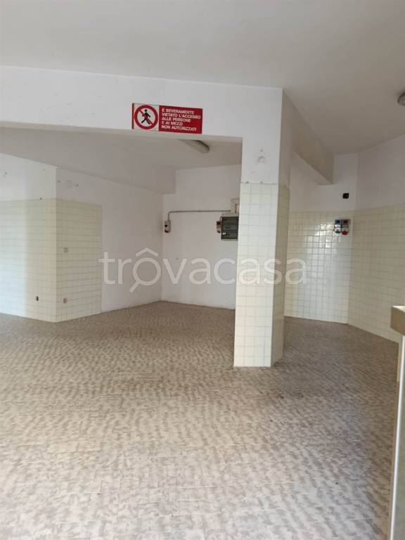 immagine annuncio 2 di 6