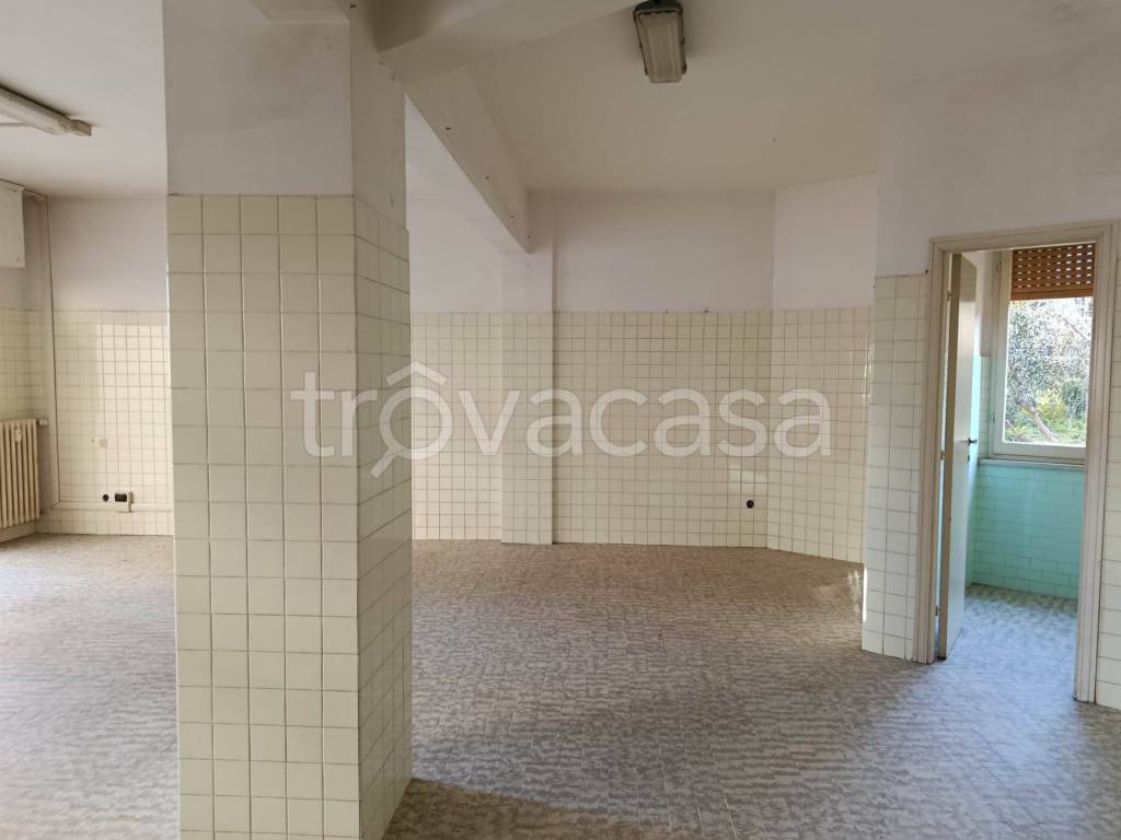 immagine annuncio 4 di 6