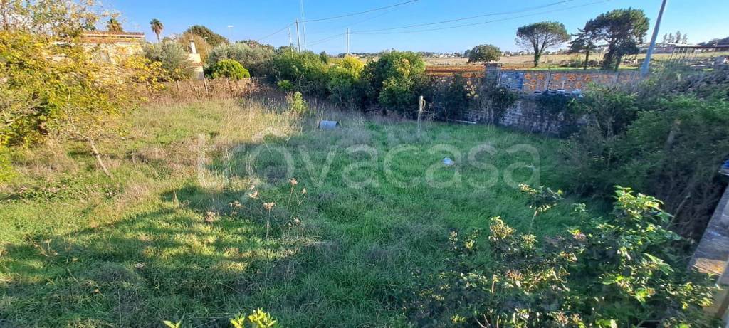 immagine annuncio 3 di 7