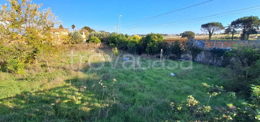 immagine annuncio 4 di 7