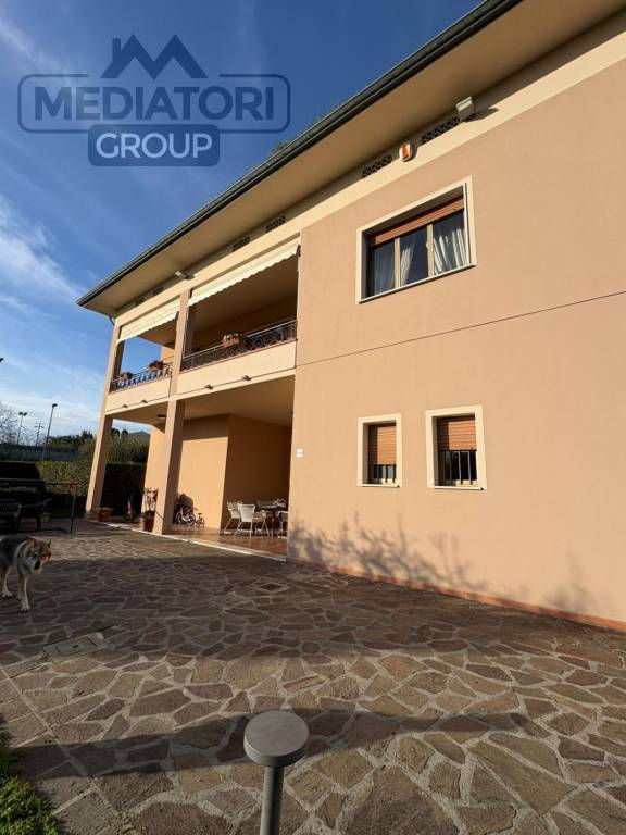 immagine annuncio 1 di 15