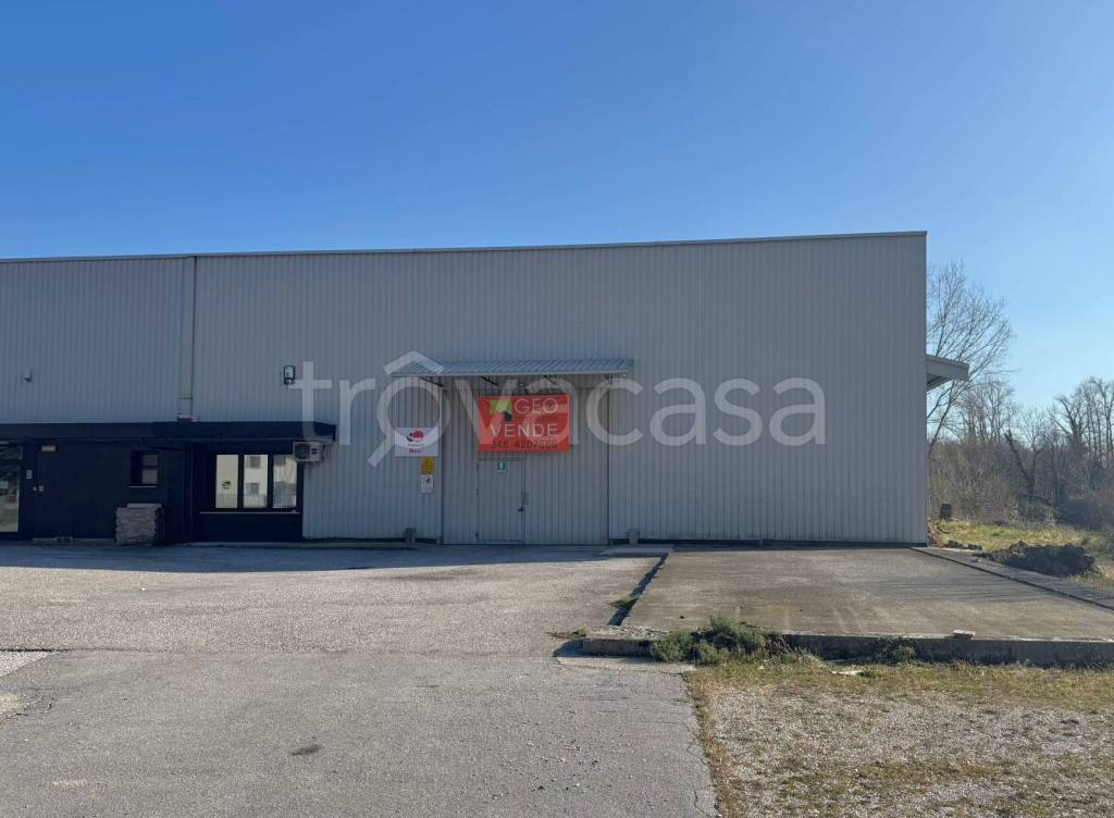 immagine annuncio 2 di 13