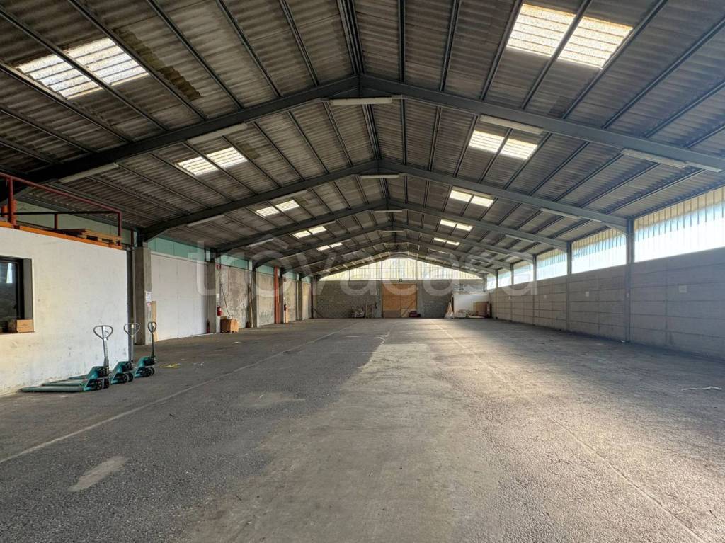 immagine annuncio 4 di 13