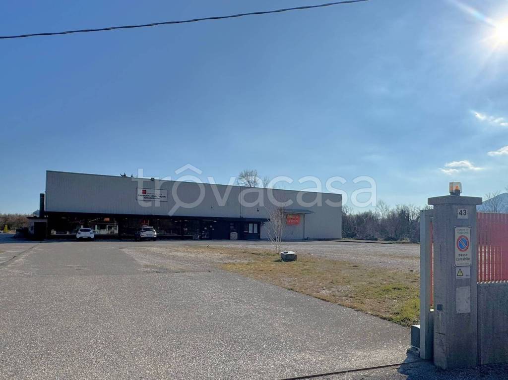 immagine annuncio 5 di 13