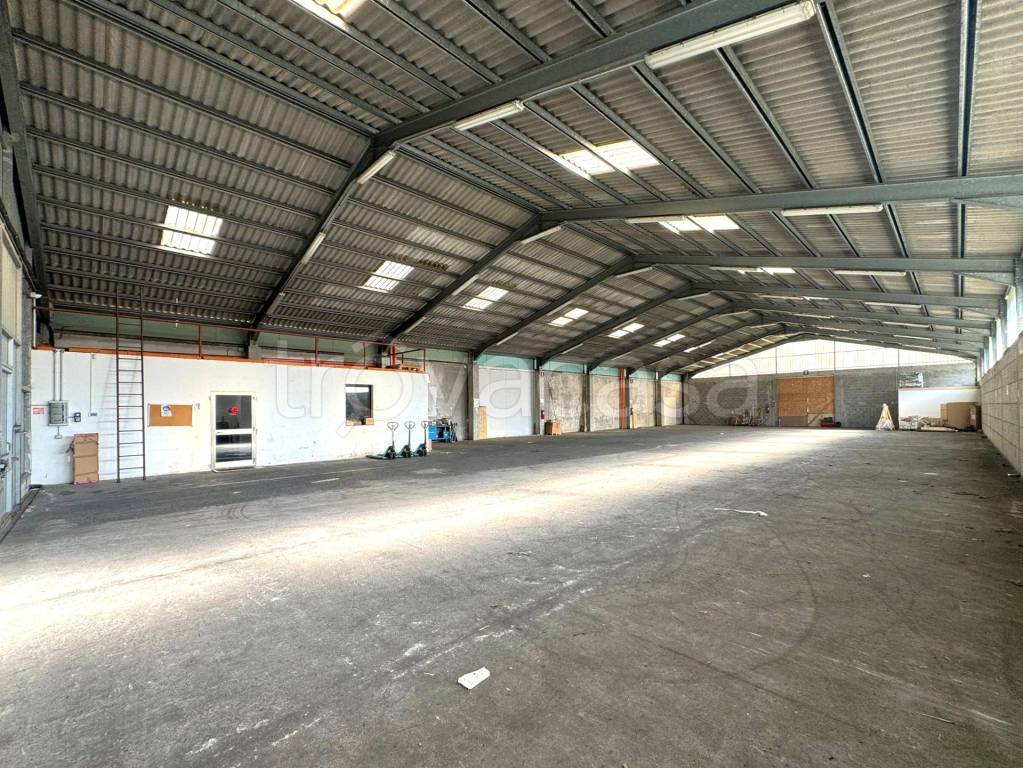 immagine annuncio 6 di 13