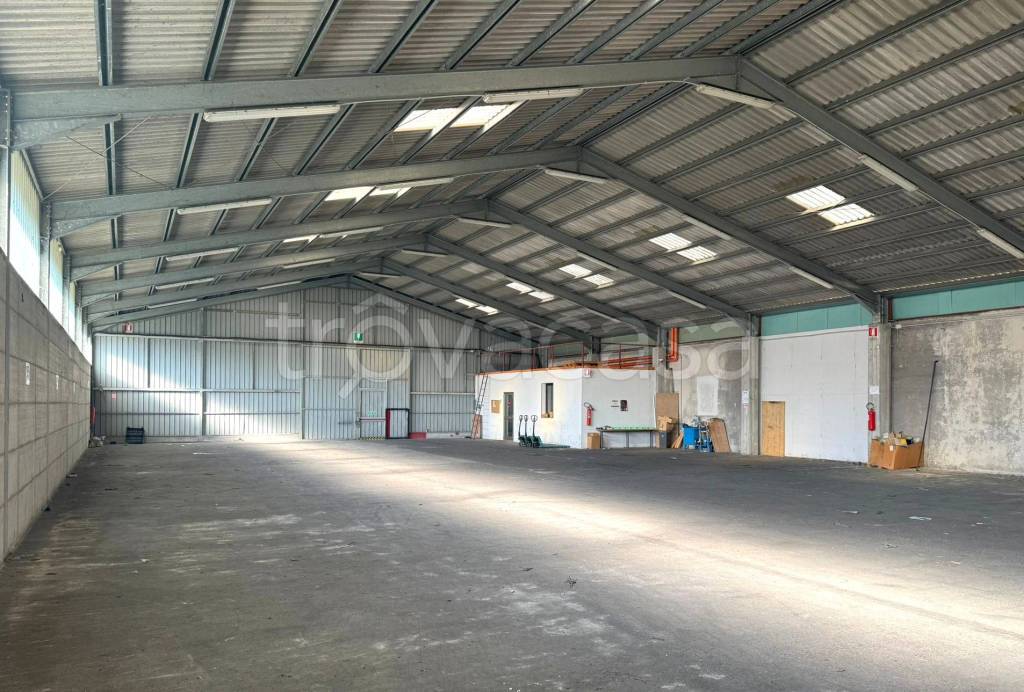 immagine annuncio 7 di 13