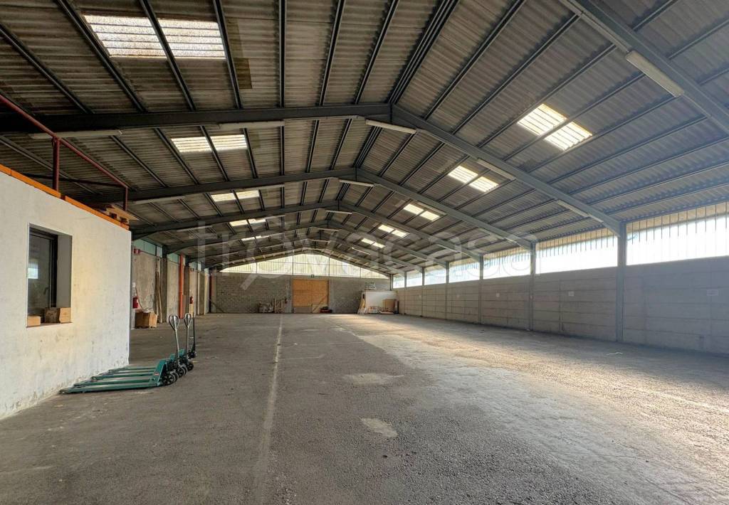 immagine annuncio 11 di 13