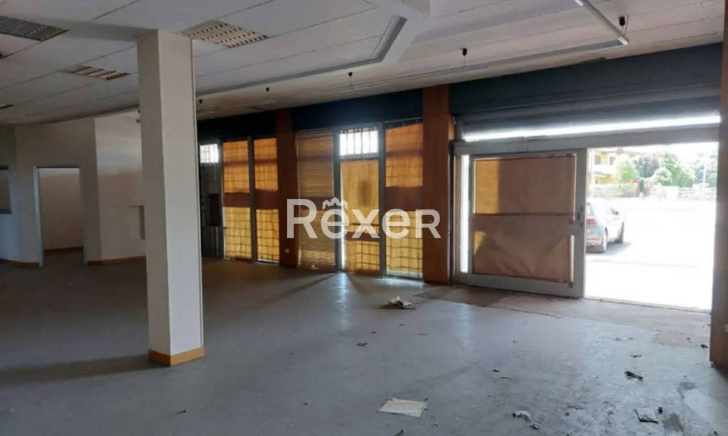 immagine annuncio 2 di 4