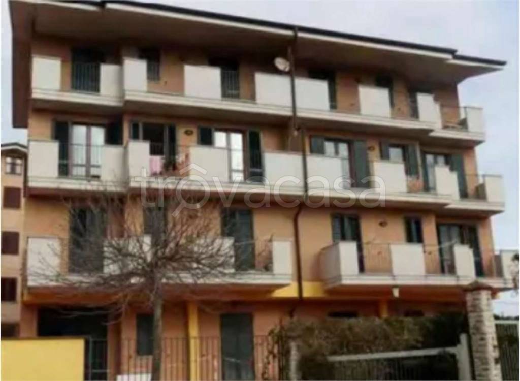 immagine annuncio 5 di 15