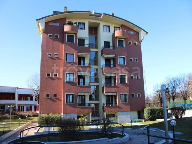 immagine annuncio 1 di 15