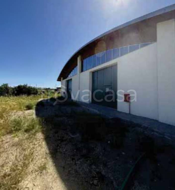 immagine annuncio 7 di 13