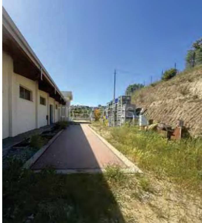 immagine annuncio 10 di 13