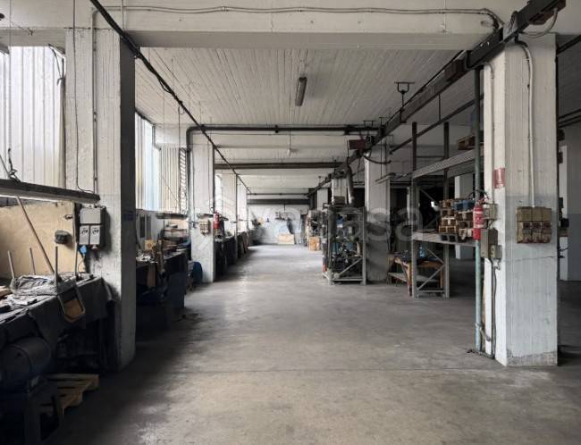 immagine annuncio 10 di 15