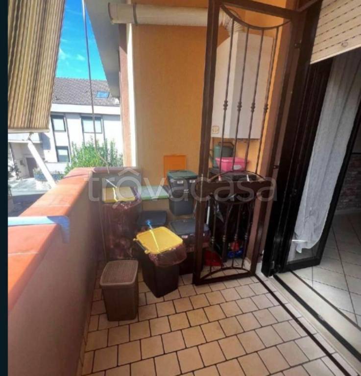 immagine annuncio 5 di 11