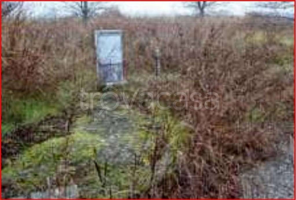 immagine annuncio 8 di 12