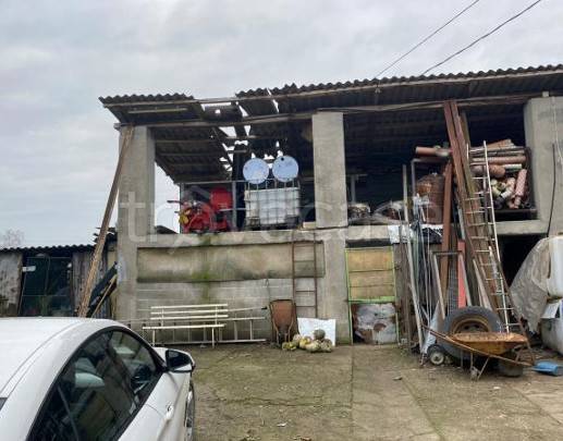 immagine annuncio 3 di 13