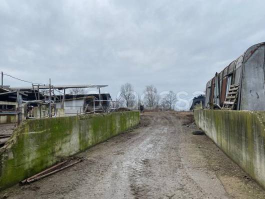 immagine annuncio 4 di 13