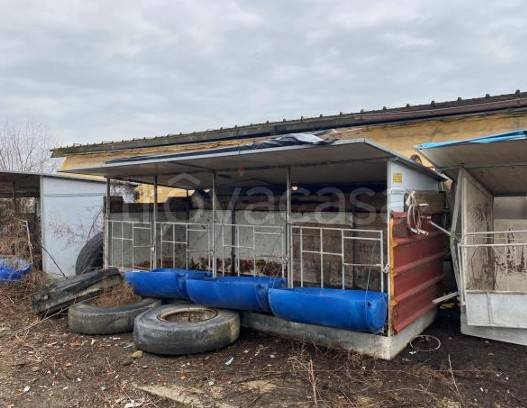 immagine annuncio 5 di 13