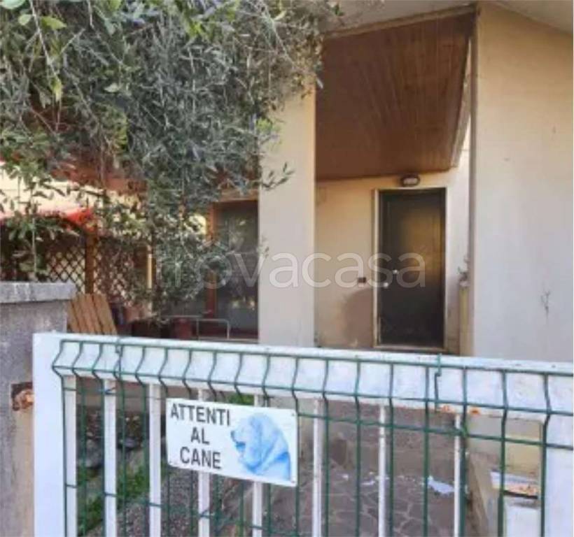 immagine annuncio 2 di 14