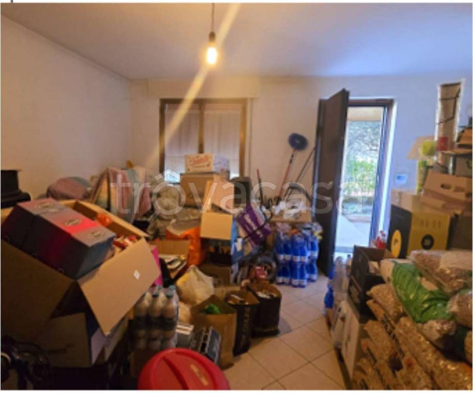 immagine annuncio 6 di 14