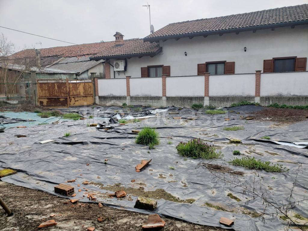 immagine annuncio 2 di 6