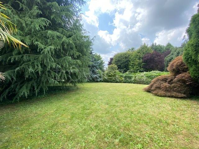 immagine annuncio 5 di 9