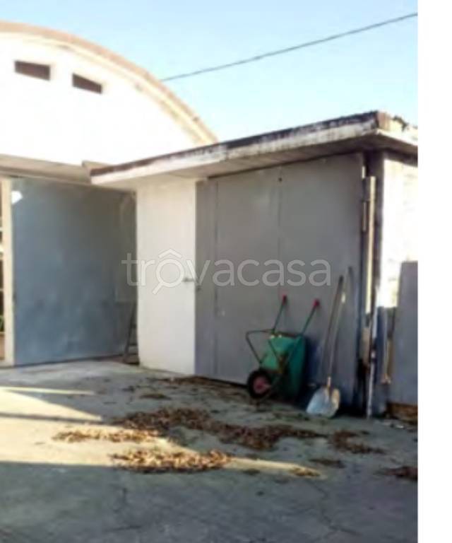 immagine annuncio 2 di 12