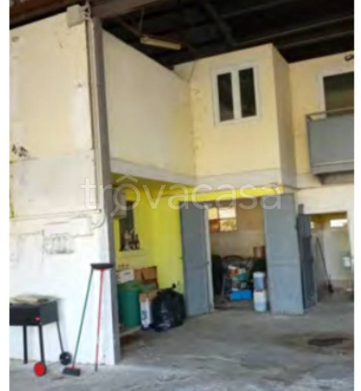 immagine annuncio 9 di 12