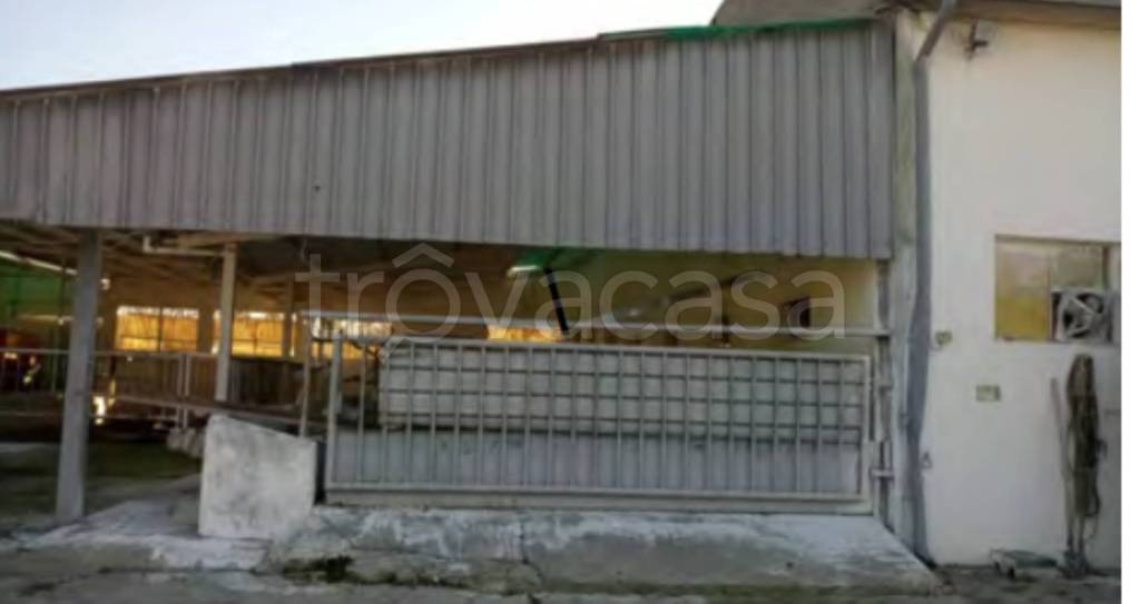 immagine annuncio 10 di 12