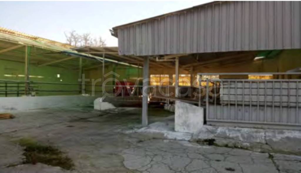 immagine annuncio 11 di 12