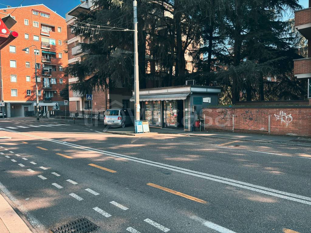 immagine annuncio 7 di 9