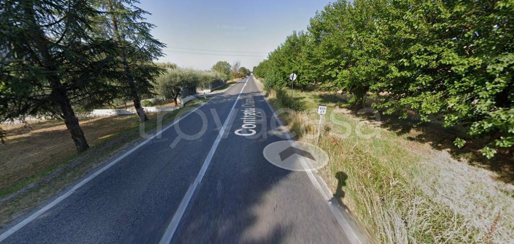 immagine annuncio 8 di 11