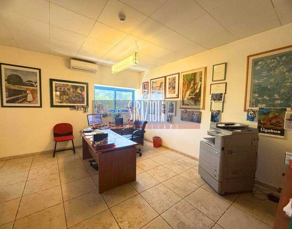 immagine annuncio 7 di 13